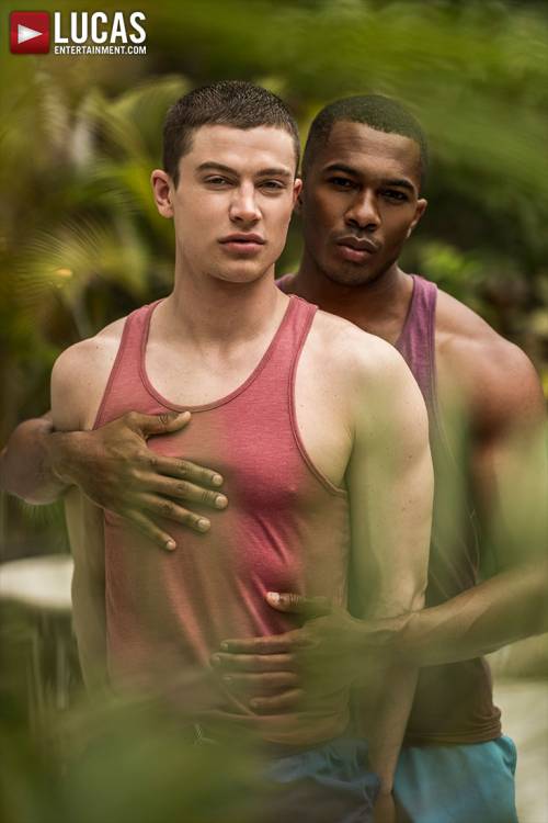 Sean Xavier Breeds Ruslan Angelo - Gay Movies - Lucas Entertainment