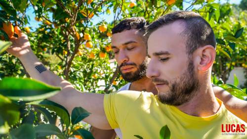 Nik Fros Bangs Ridick - Gay Movies - Lucas Entertainment