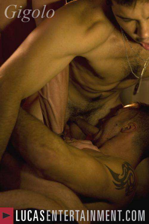 Gigolo - Gay Movies - Lucas Entertainment